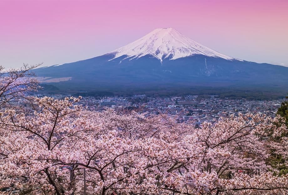 Voyage de noces au Japon